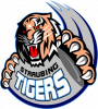 1395910442straubing_tigers_logo.png