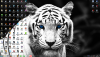 1397939466screenshot_1.png