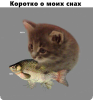 1487891037gg.jpg