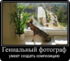 18photooo.jpg