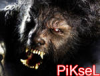 piksel.png