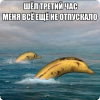 qpabmy47_-e.jpg