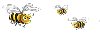 1234442744logo.gif