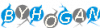 13128950153.png
