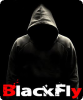 1319628024blackfly.jpg