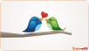1345296387_birds_in_love.jpg