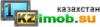13649831091kz.png