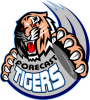 1395920268straubing_tigers_logo.png