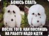 1495217563pic.jpg