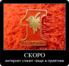 161d5412.jpg