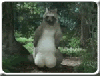 18.gif