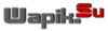 1wapik.png