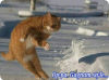 35080102--picsay.jpg