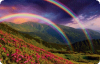 9b4b9e4af619760e1a07952d30eea284.jpeg