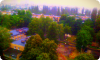 img_20140809_162957.jpg