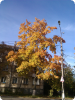 img_20161001_154309.jpg