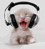 kisa2.gif