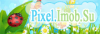 logo447.png