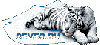 sever.gif