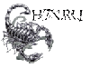 skorpion.gif