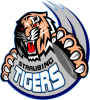 straubing_tigers_logo.png