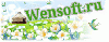 wensoft1711.gif