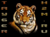 1246832128logo.gif