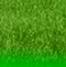 logo_back.png