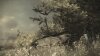 shot_223.jpg