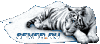 sever.gif