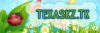 texas.png