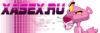 1xa.png