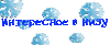 1261935678logo2.gif