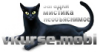 vkurse1.png