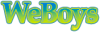 313.png
