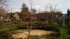 dacha.jpg