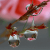 image_vesna.gif