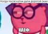 1463986255image.jpeg