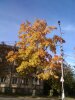 img_20161001_154309.jpg
