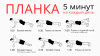 1477339211planka.jpg