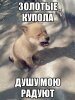 zlnyavp0heq.jpg