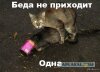 3907388.jpg