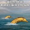 qpabmy47_-e.jpg