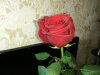 img_20170308_161852.jpg