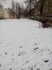 img_20170327_073138.jpg