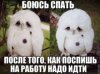 1495217563pic.jpg