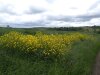 img_20170617_110146.jpg