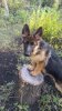 p_20170908_182155.jpg