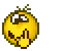 anim.gif